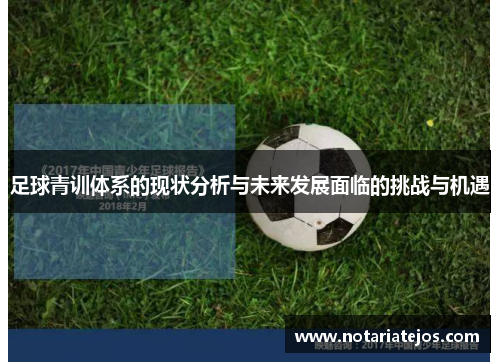 足球青训体系的现状分析与未来发展面临的挑战与机遇