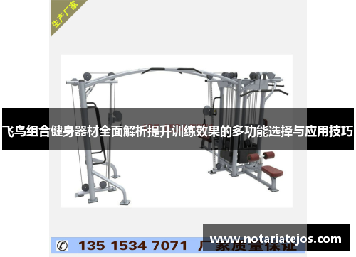 飞鸟组合健身器材全面解析提升训练效果的多功能选择与应用技巧