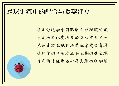 足球训练中的配合与默契建立