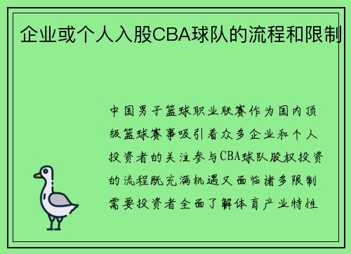 企业或个人入股CBA球队的流程和限制
