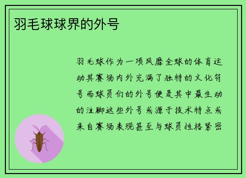 羽毛球球界的外号